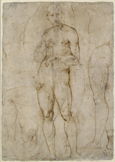 Verso: Nude Study for a St Paul by Raffaello Sanzio Raphael